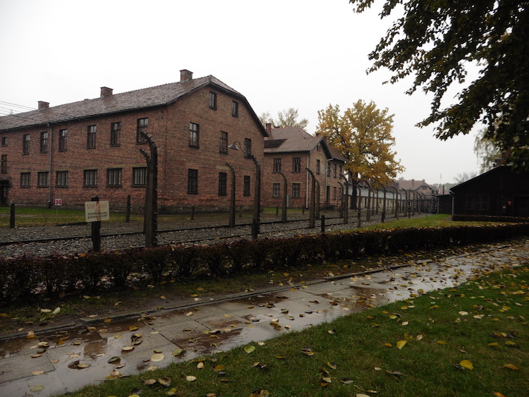 ６ アウシュビッツで考えてみる さるべき業縁のもよほさば 彼岸寺